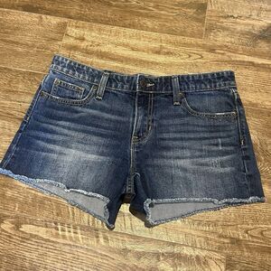 Gap Womens Shorts Size 4/27 Blue Sexy Boyfriend Grunge Cotton Distress Low Rise